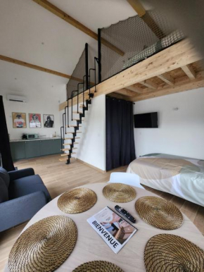 THE BEDROOM - proche aeroport Lyon, groupama stadium, ldlc arena, eurexpo, viaRhôna
